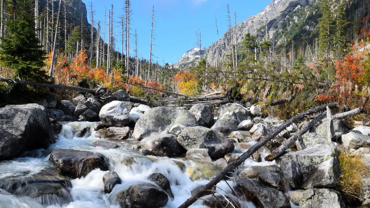 Zdjęcie Dolina Kościeliska po huraganie: aktualne zamknięcia szlaków i zagrożenia