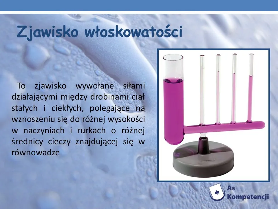 Zdjęcie Fascynujące zjawisko włoskowatości: poznaj mechanizm i rolę w przyrodzie