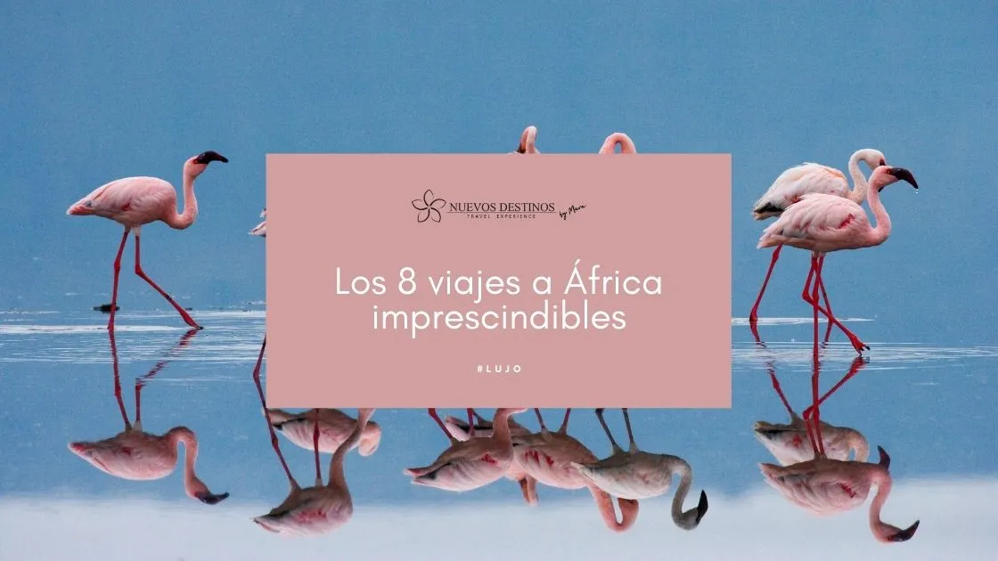 Zdjęcie Qué visitar en África: los destinos que no te puedes perder