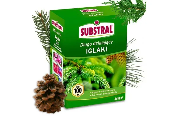 Zdjęcie Nawóz do iglaków kiedy stosować – uniknij błędów w nawożeniu