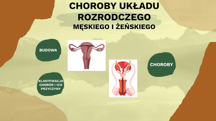 Zdjęcie Objawy chorób kobiecego układu rozrodczego – kiedy udać się do lekarza?