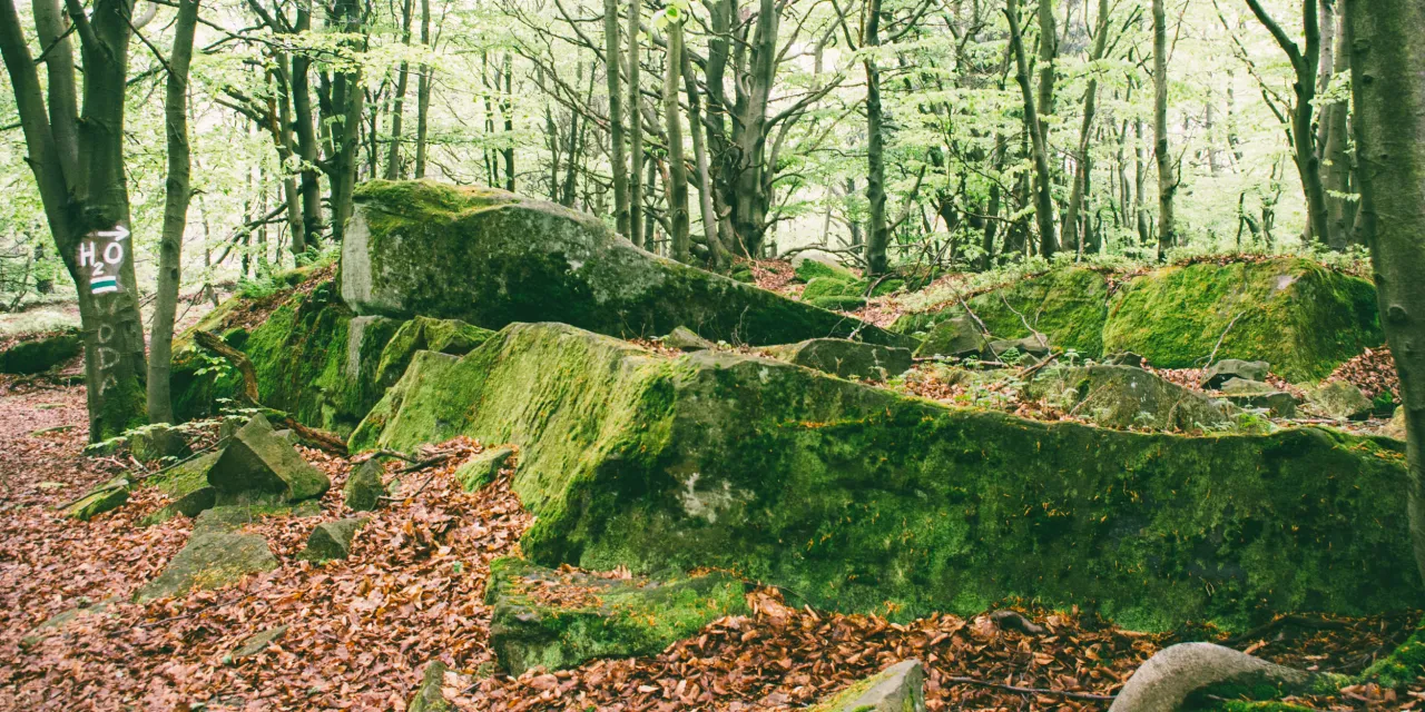 Zdjęcie Co kryje Magurski Park Narodowy? Oto 7 nieznanych atrakcji czeka!