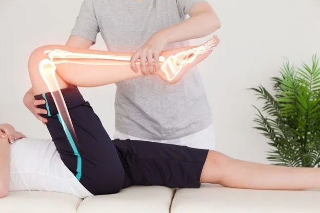 Zdjęcie Fizjoterapia jakie przedmioty na studiach – co musisz wiedzieć?