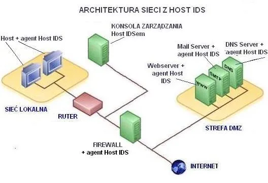 Zdjęcie Co to jest host sieci: kluczowe informacje o jego roli i funkcjach