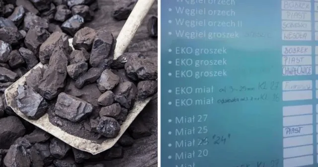 Zdjęcie Ile kosztuje ekogroszek pieklorz? Sprawdź ceny i promocje teraz