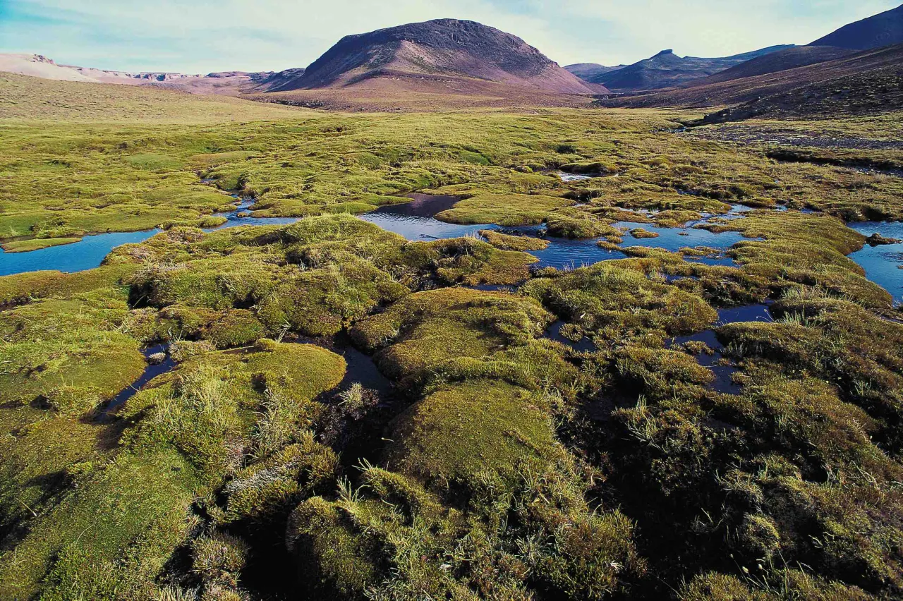 Zdjęcie Kto odkrył źródła Amazonki? Kontrowersje i znaczenie tej wyprawy