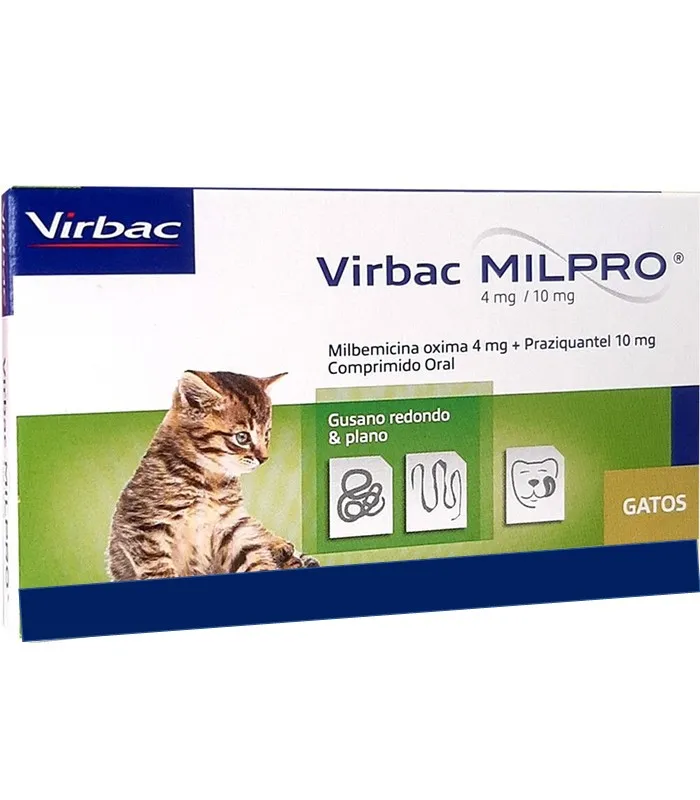 Zdjęcie Los mejores desparasitantes para gatos: eficacia y aplicación segura