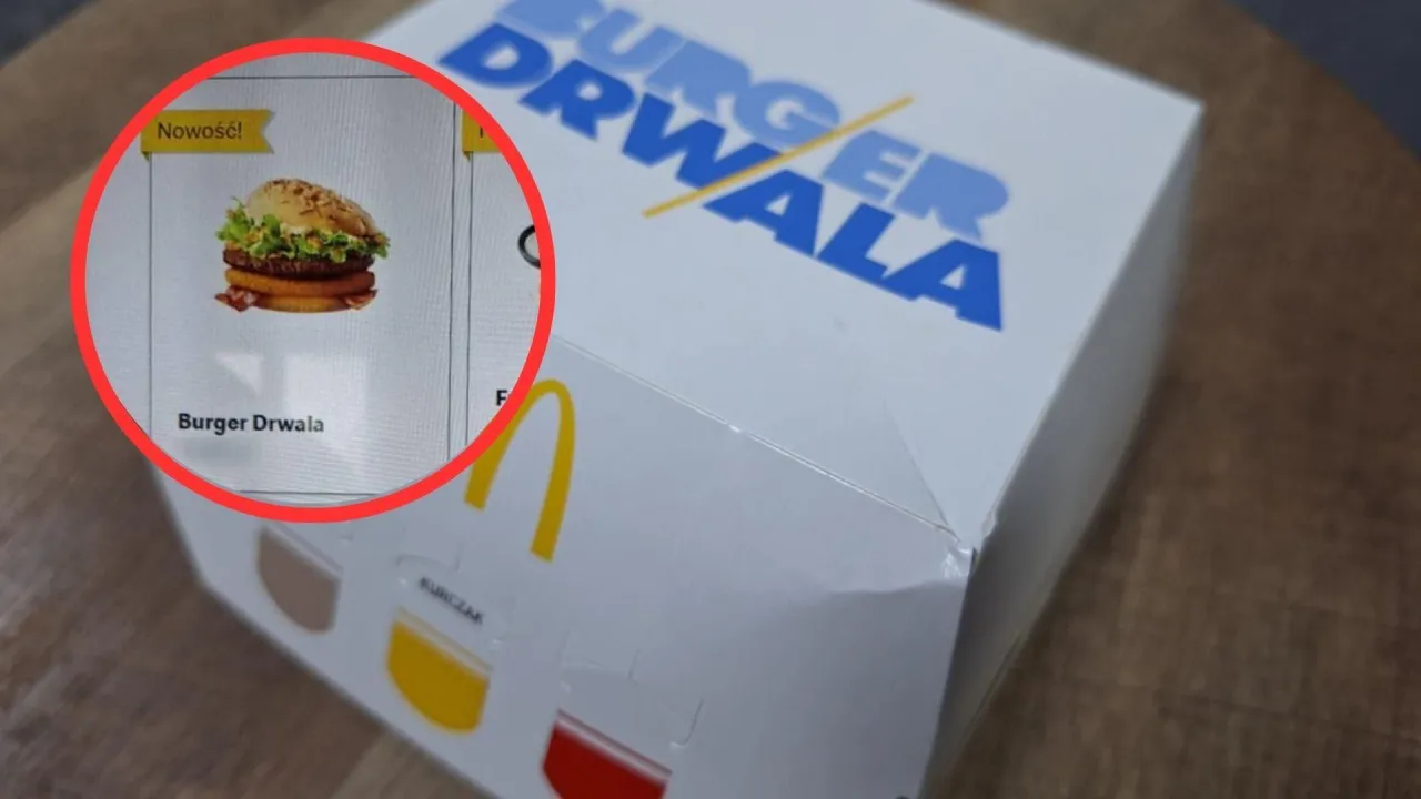 Zdjęcie Ile kosztują frytki zakręcone w maku? Ceny, które zaskoczą!