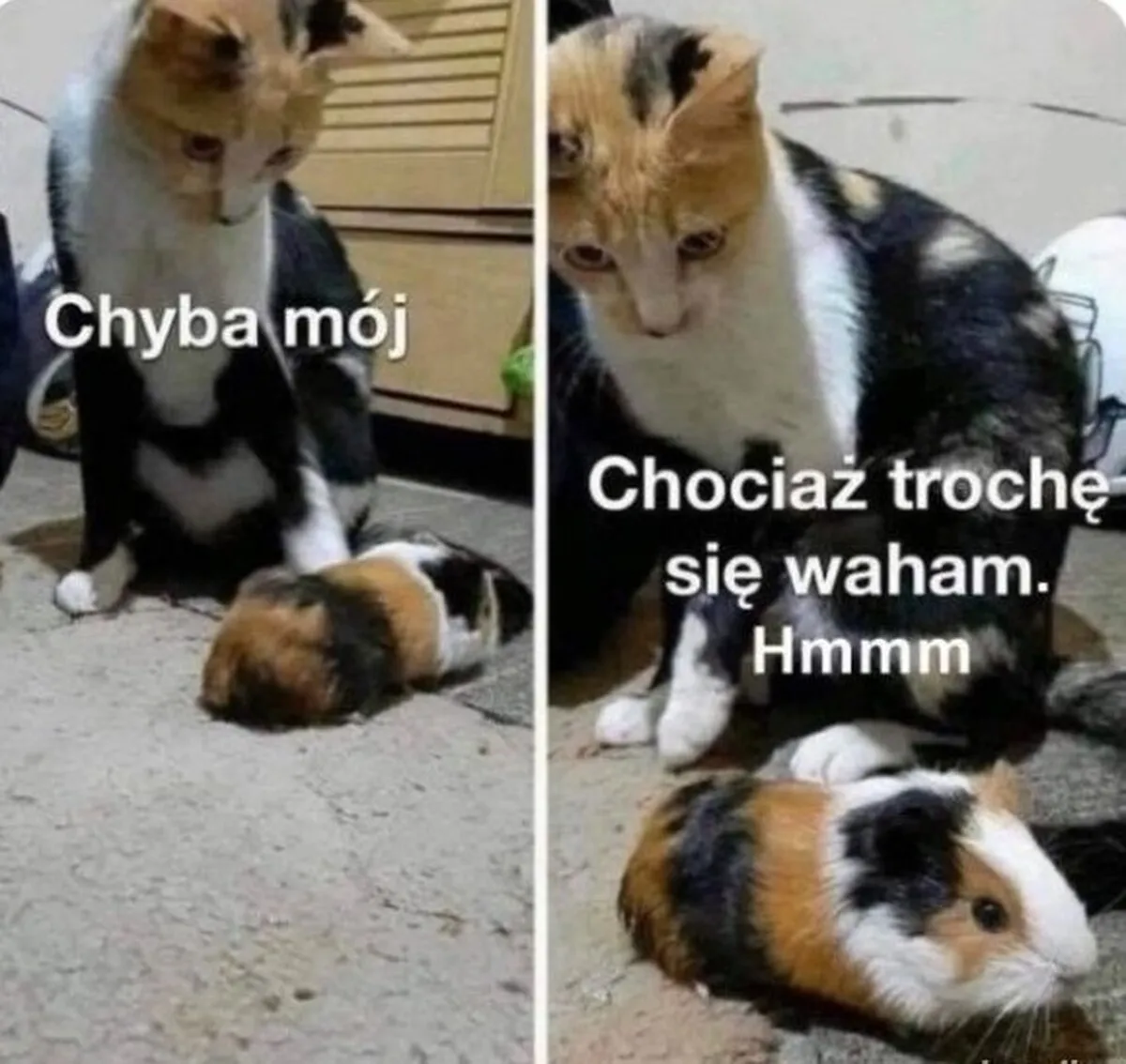 Zdjęcie Śmieszne memy o ojcu odbierającym dziecko z przedszkola, które rozbawią każdego