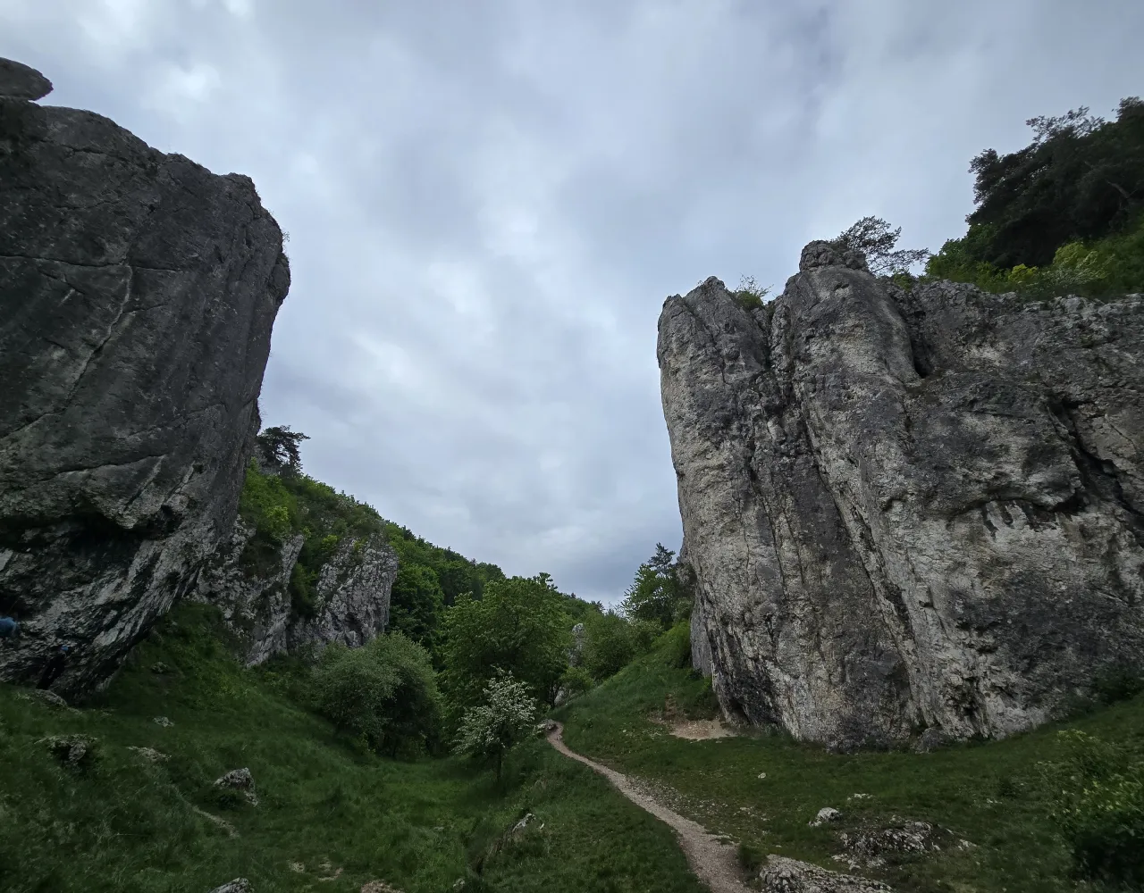 Zdjęcie Gdzie w Wąwozie Bolechowickim znajdziesz punkt widokowy marzeń?