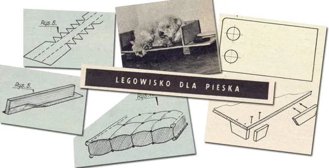 Zdjęcie Jak zrobić wygodne legowisko dla psa z kartonu – prosty poradnik krok po kroku