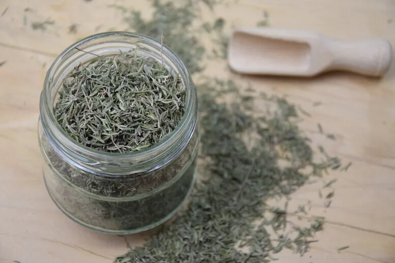 Zdjęcie Jak suszyć oregano w suszarce - proste kroki, by nie stracić smaku