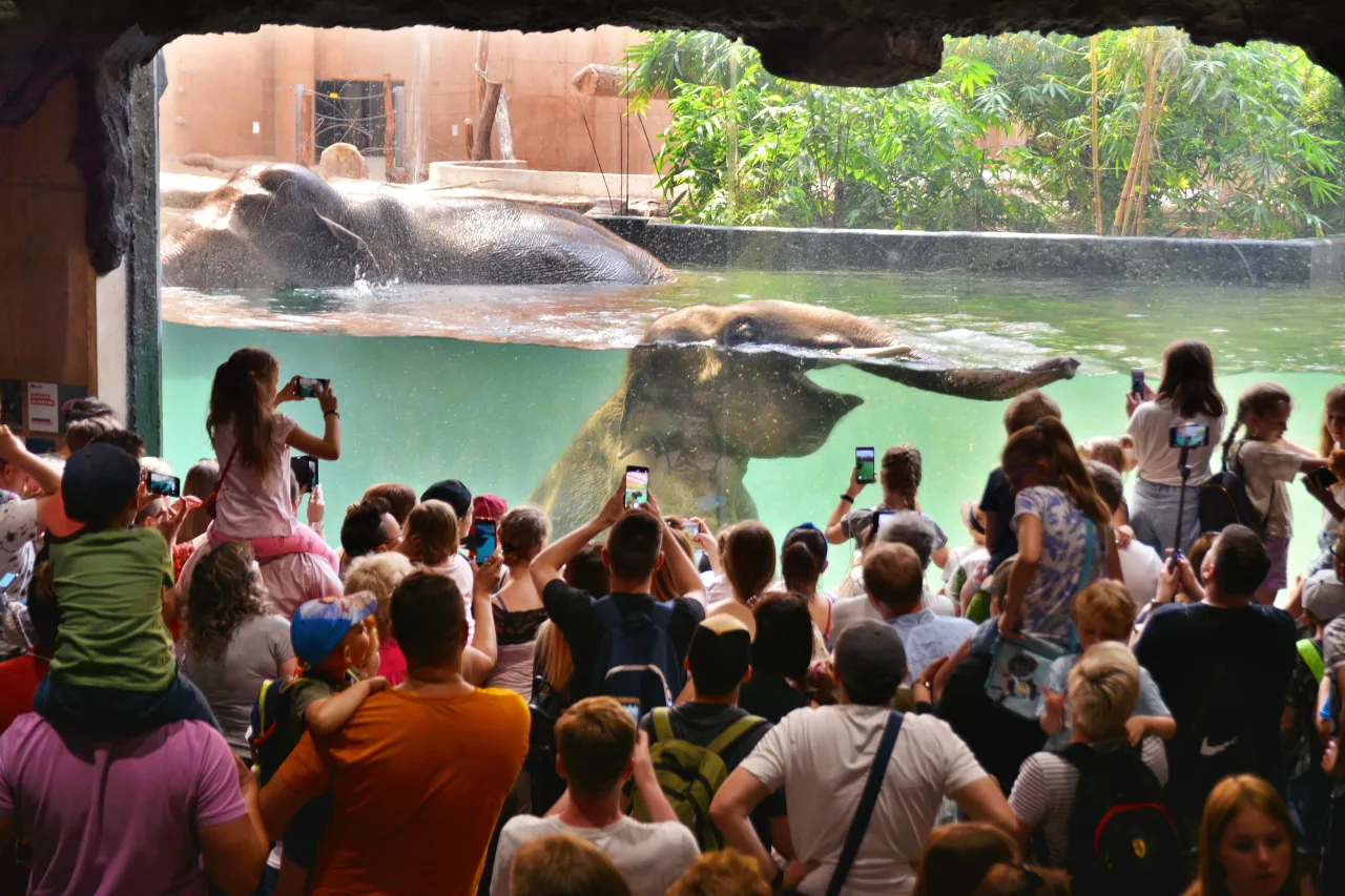 Zdjęcie Oceanarium w Łodzi - Fascynujące atrakcje i edukacja dla każdego