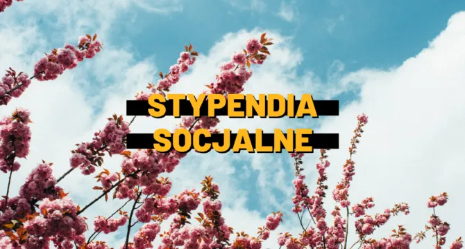 Zdjęcie Czy zasiłek rodzinny wpływa na dochód do stypendium szkolnego? Wyjaśniamy!