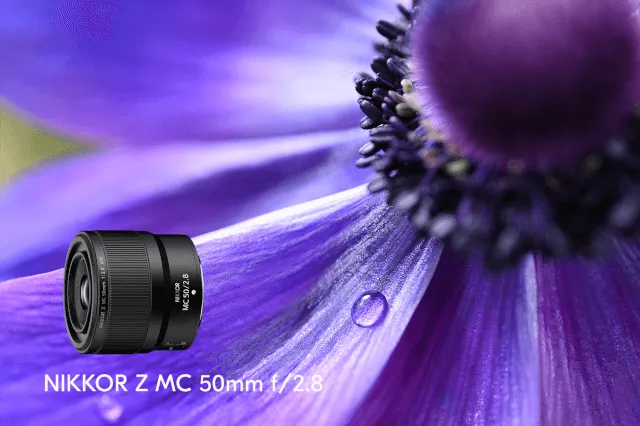 Zdjęcie Najlepszy obiektyw do makro Nikon - wybierz idealny model dla siebie