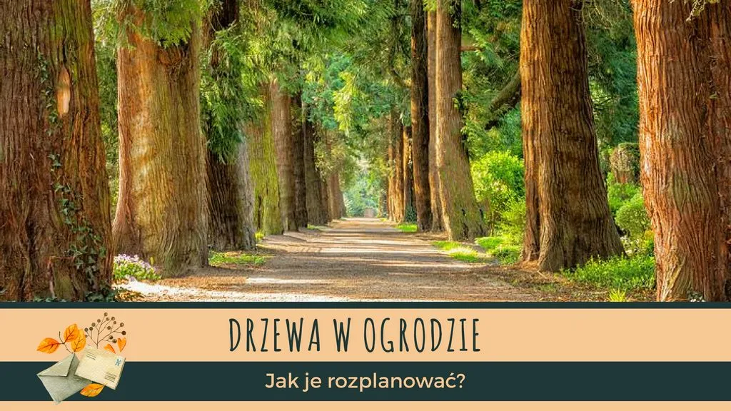 Zdjęcie Czy można sadzić drzewa przed ogrodzeniem? Sprawdź ważne zasady!