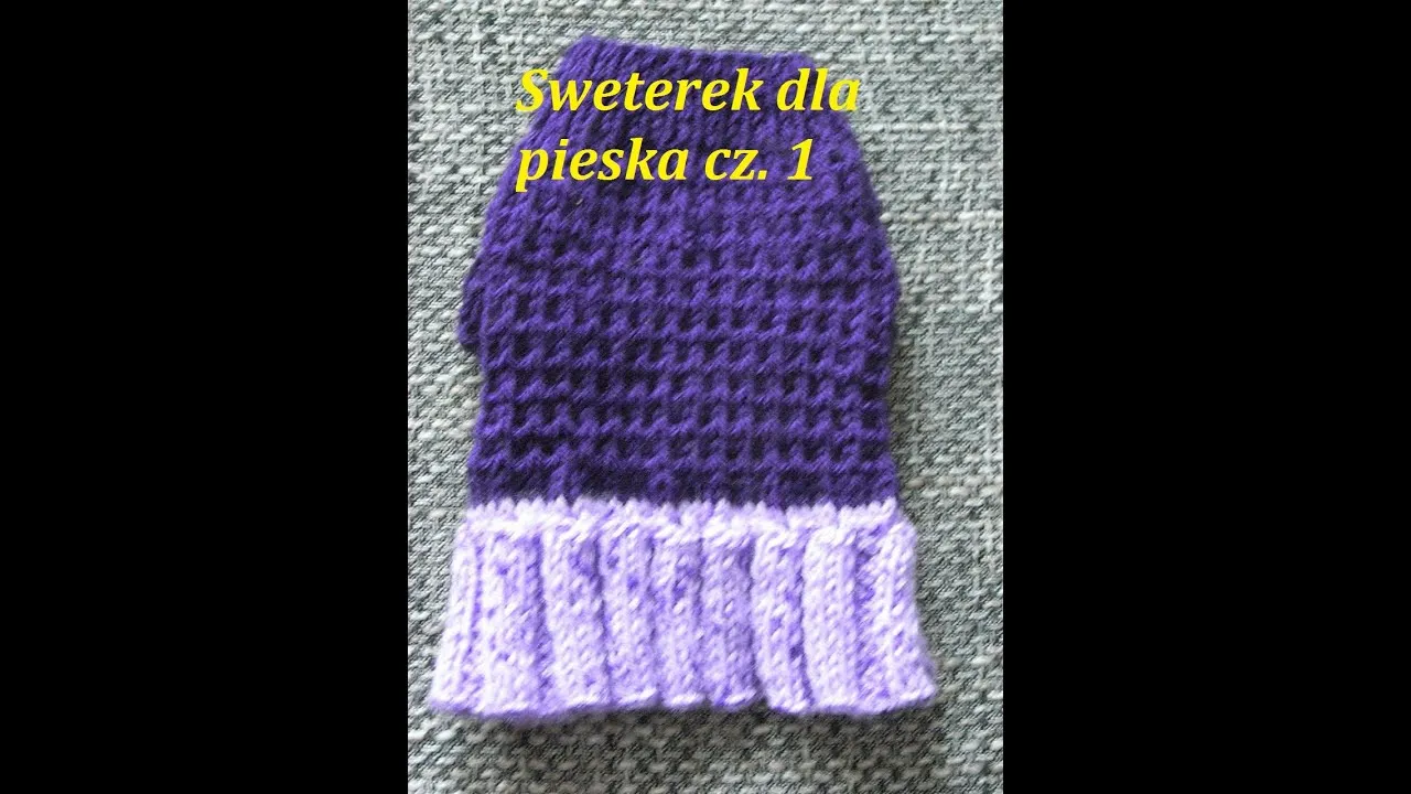 Zdjęcie Jak zrobić ubranko dla psa ze swetra – proste kroki, które zachwycą
