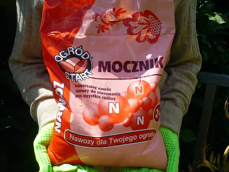 Zdjęcie Jak nawóz mocznik może zrewolucjonizować Twoje uprawy roślinne