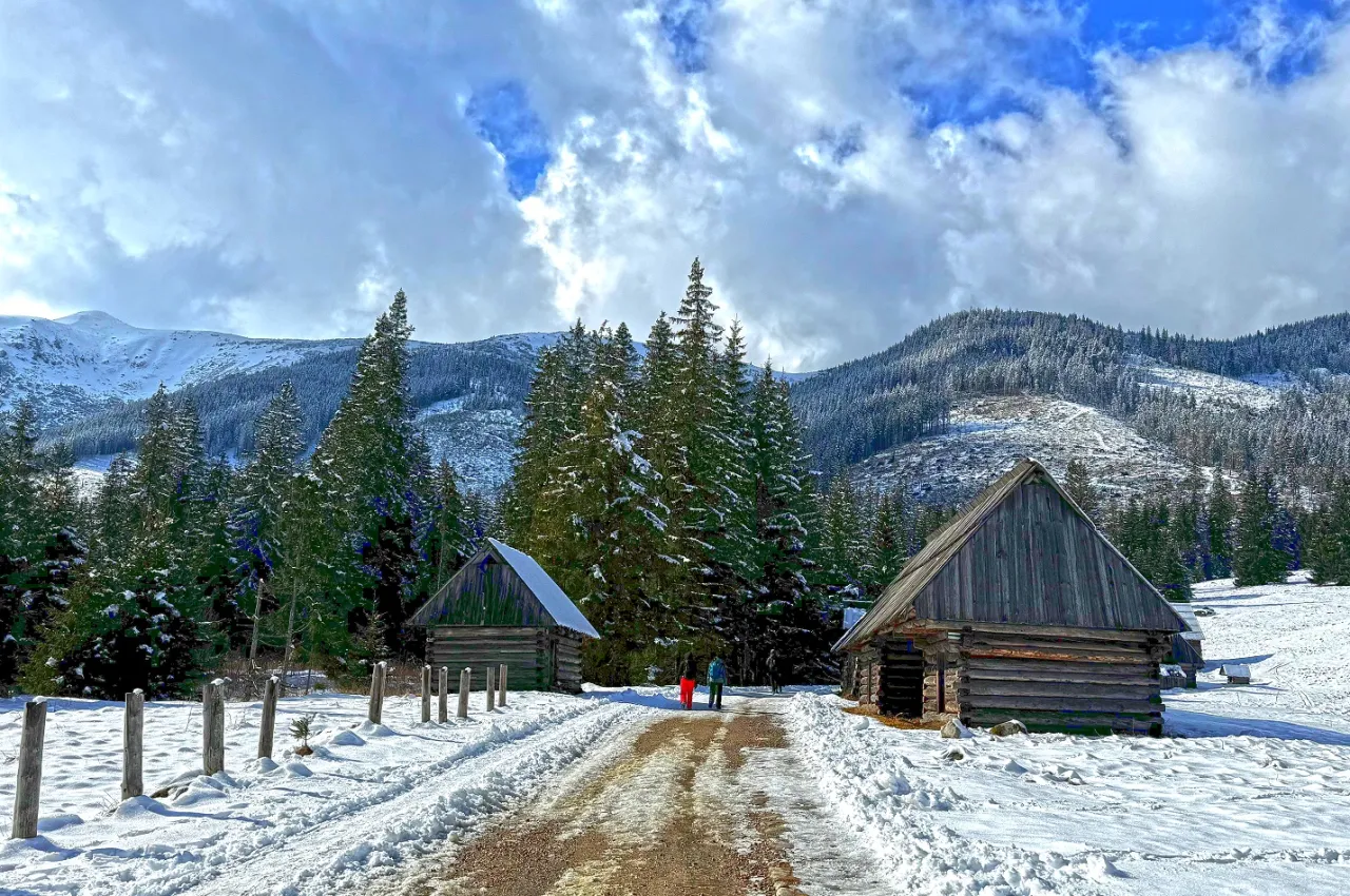 Zdjęcie Aktualna pokrywa śnieżna w Dolinie Chochołowskiej: pełny raport zimowy