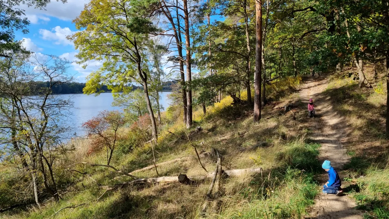 Zdjęcie Jezioro Dymaczewskie: piękno natury, atrakcje i tajemnice jeziora