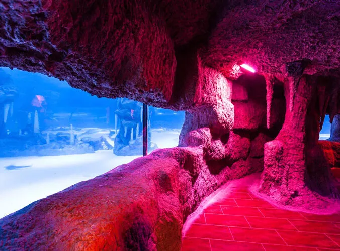 Zdjęcie Alanya oceanarium: co warto zobaczyć i jak zaplanować wizytę