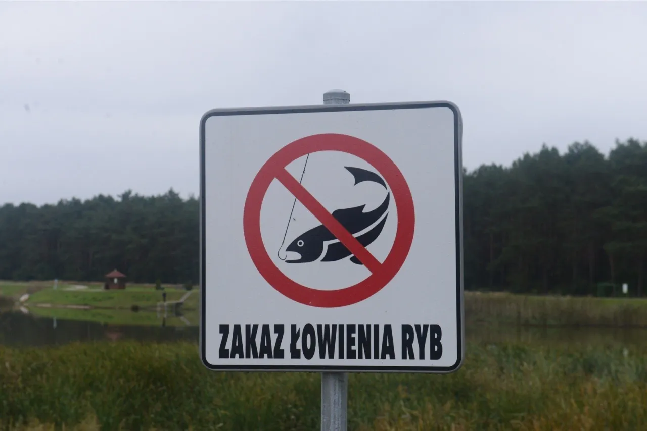 Zdjęcie Od kiedy bez karty wędkarskiej? Poznaj nowe zasady wędkowania