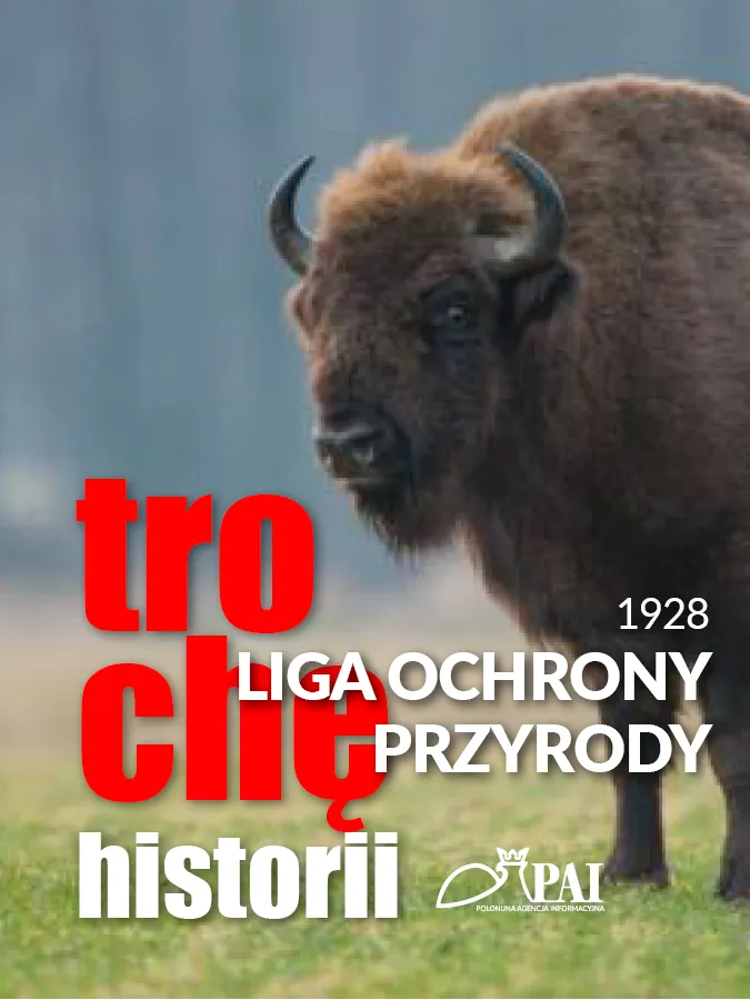 Zdjęcie Kiedy powstała liga ochrony przyrody? Odkryj jej fascynującą historię