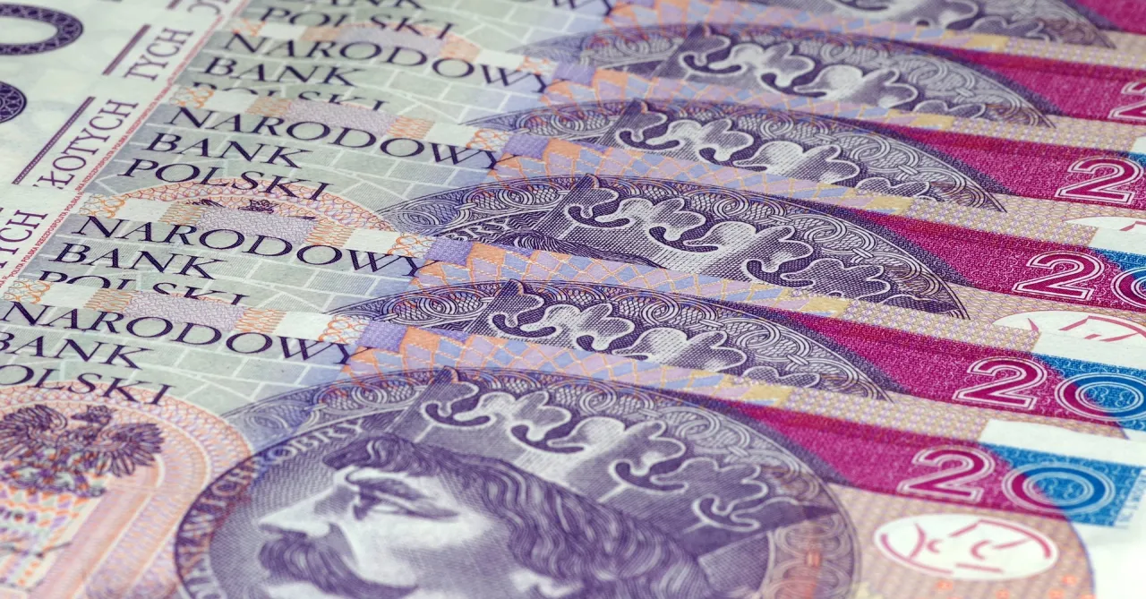 Zdjęcie Gdzie sprawdzić swoje zadłużenie i uniknąć finansowych kłopotów