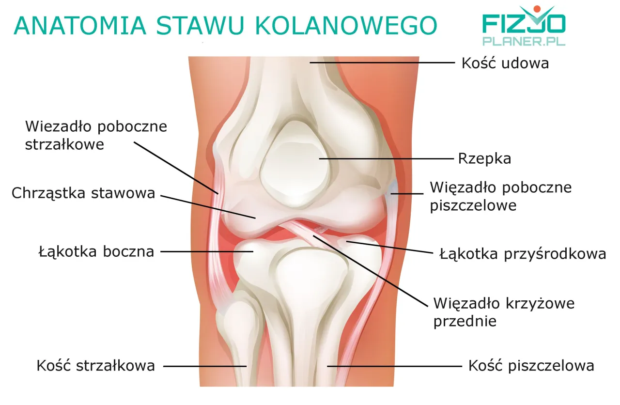 Zdjęcie Czy można skręcić kolano? Poznaj objawy, leczenie i rehabilitację
