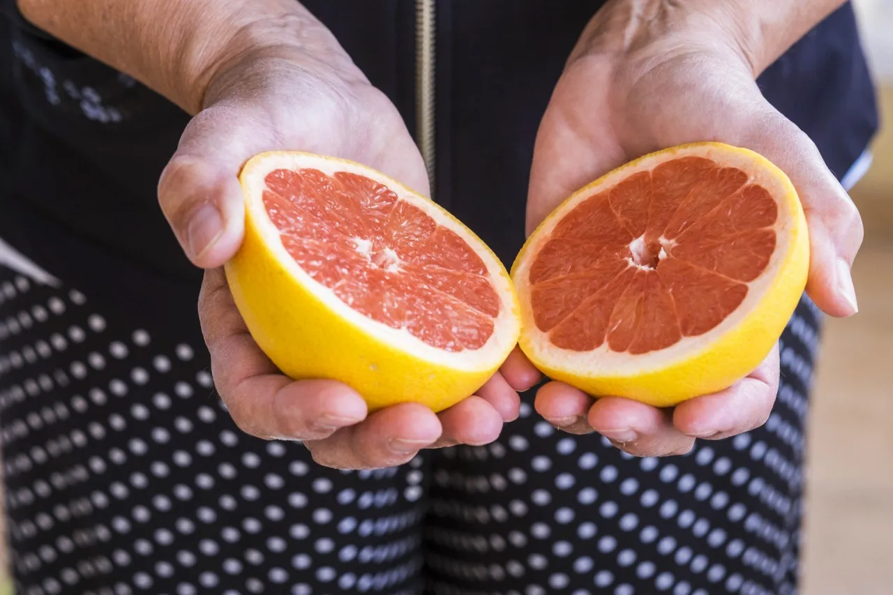 Zdjęcie Czy grejpfrut obniża cholesterol? Sprawdź, co mówią badania