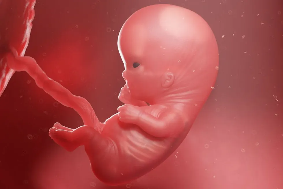 Zdjęcie Który tydzień ciąży jest najniebezpieczniejszy? Zrozum ryzyko dla płodu.