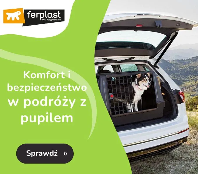Zdjęcie Najlepsze duże transportery dla psa: komfort i bezpieczeństwo w podróży