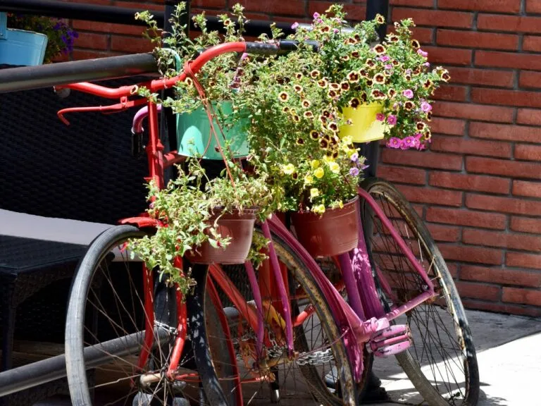 Zdjęcie Jak zrobić kwietnik z roweru: DIY krok po kroku + inspiracje
