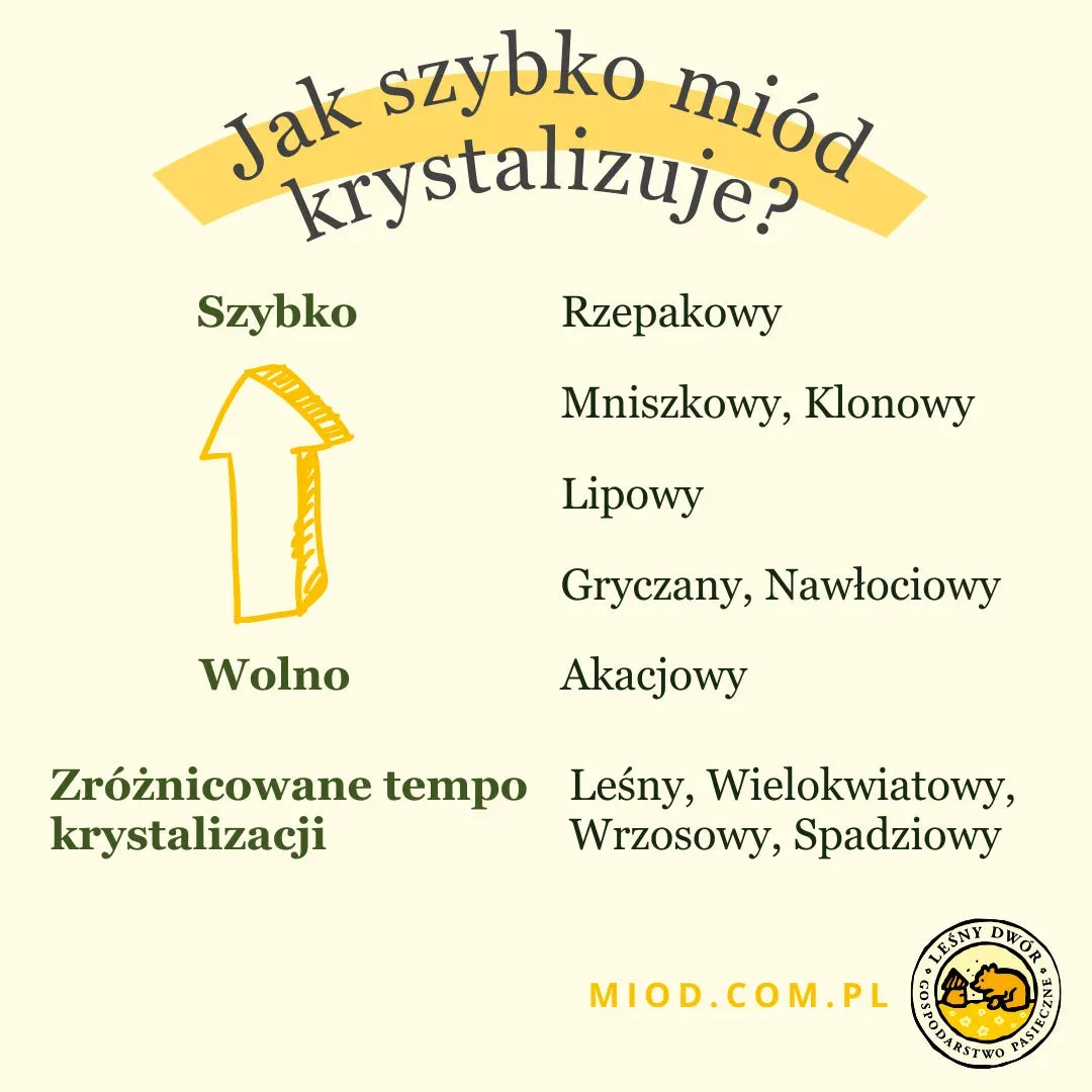 Zdjęcie Czy miód spadziowy się krystalizuje? Poznaj zaskakujące fakty