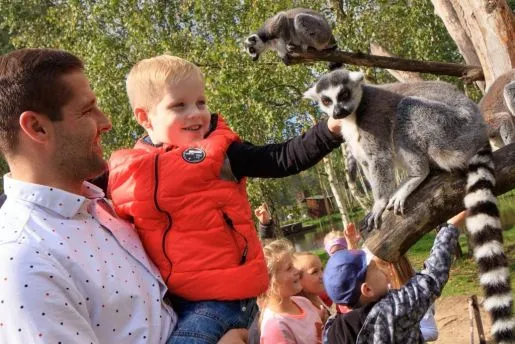 Zdjęcie Gdzie z dzieckiem w Pomorskim? Najlepsze atrakcje dla rodzin