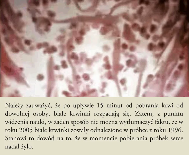 Zdjęcie 15 minutowy cud: Jak zmienić życie dzięki krótkiej praktyce