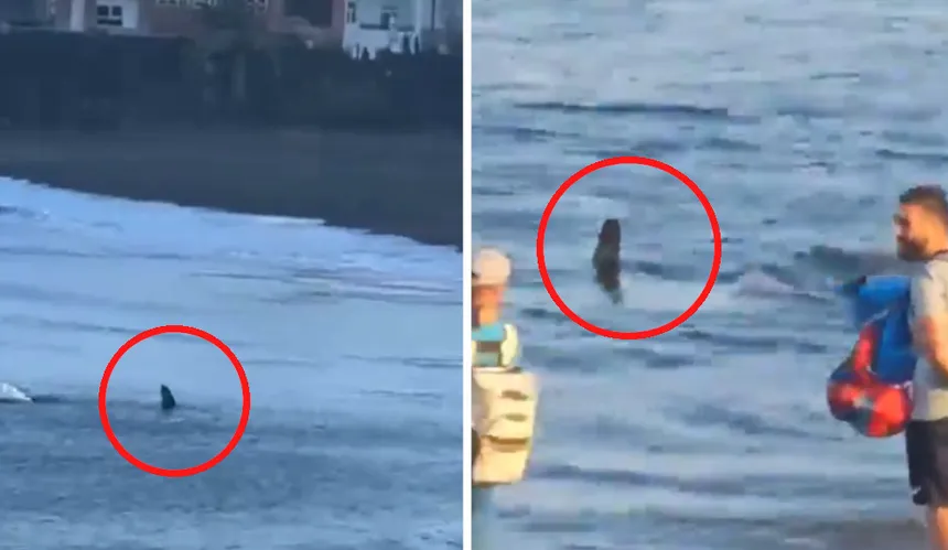 Zdjęcie Czy na Gran Canarii jest bezpiecznie? Odkryj prawdziwe zagrożenia