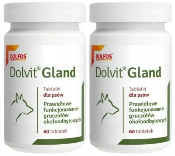 Zdjęcie Głupi Jaś dla psa: Gdzie kupić legalnie i bezpiecznie?