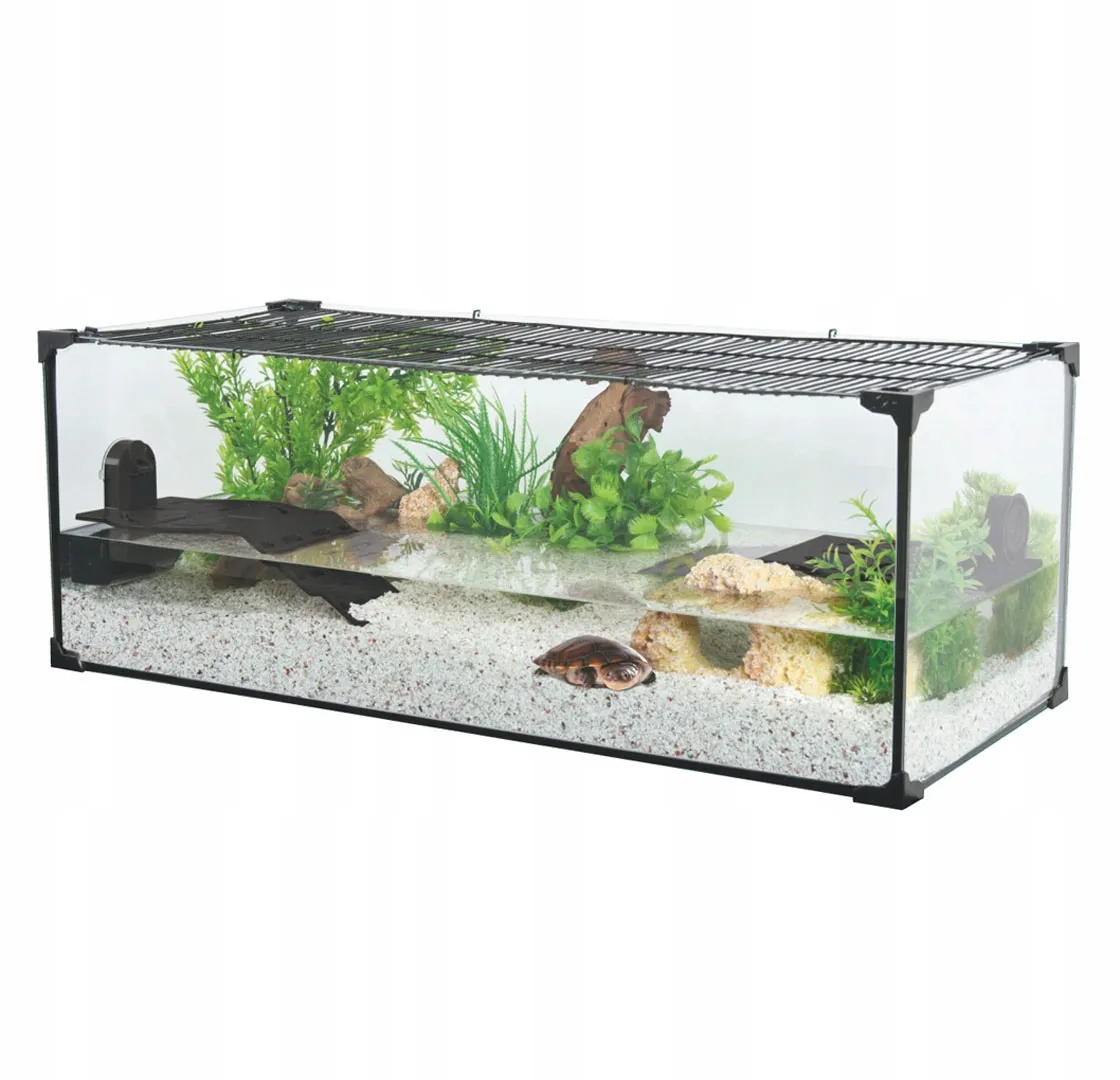 Zdjęcie Ile kosztuje terrarium dla żółwia? Ceny, które zaskoczą każdego