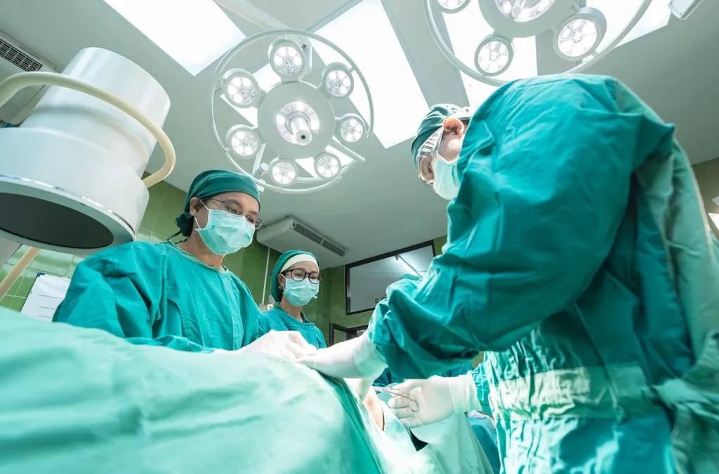 Zdjęcie Co po maturze z biologii? Odkryj najlepsze kierunki i ścieżki kariery