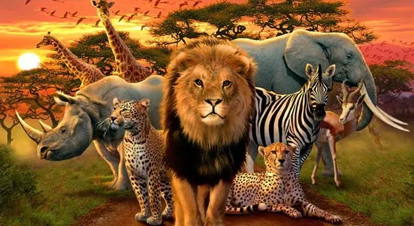 Zdjęcie Jakie zwierzęta żyją w Afryce? Fascynująca fauna i jej tajemnice