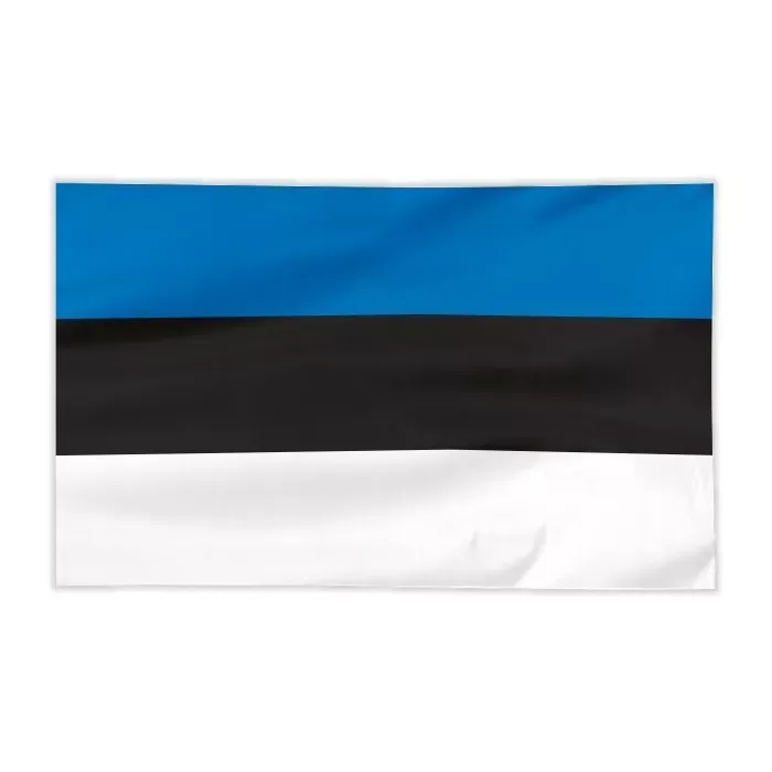 Zdjęcie Jak wygląda flaga Estonii? Symbolika kolorów i historia flagi