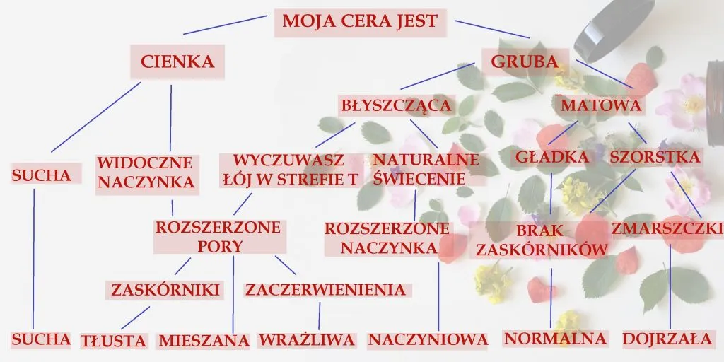 Zdjęcie Test na typ skóry - poznaj swoją cerę i dobierz idealną pielęgnację
