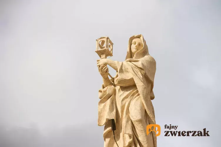 Zdjęcie Kto jest patronem zwierząt? Poznaj znaczenie św. Franciszka