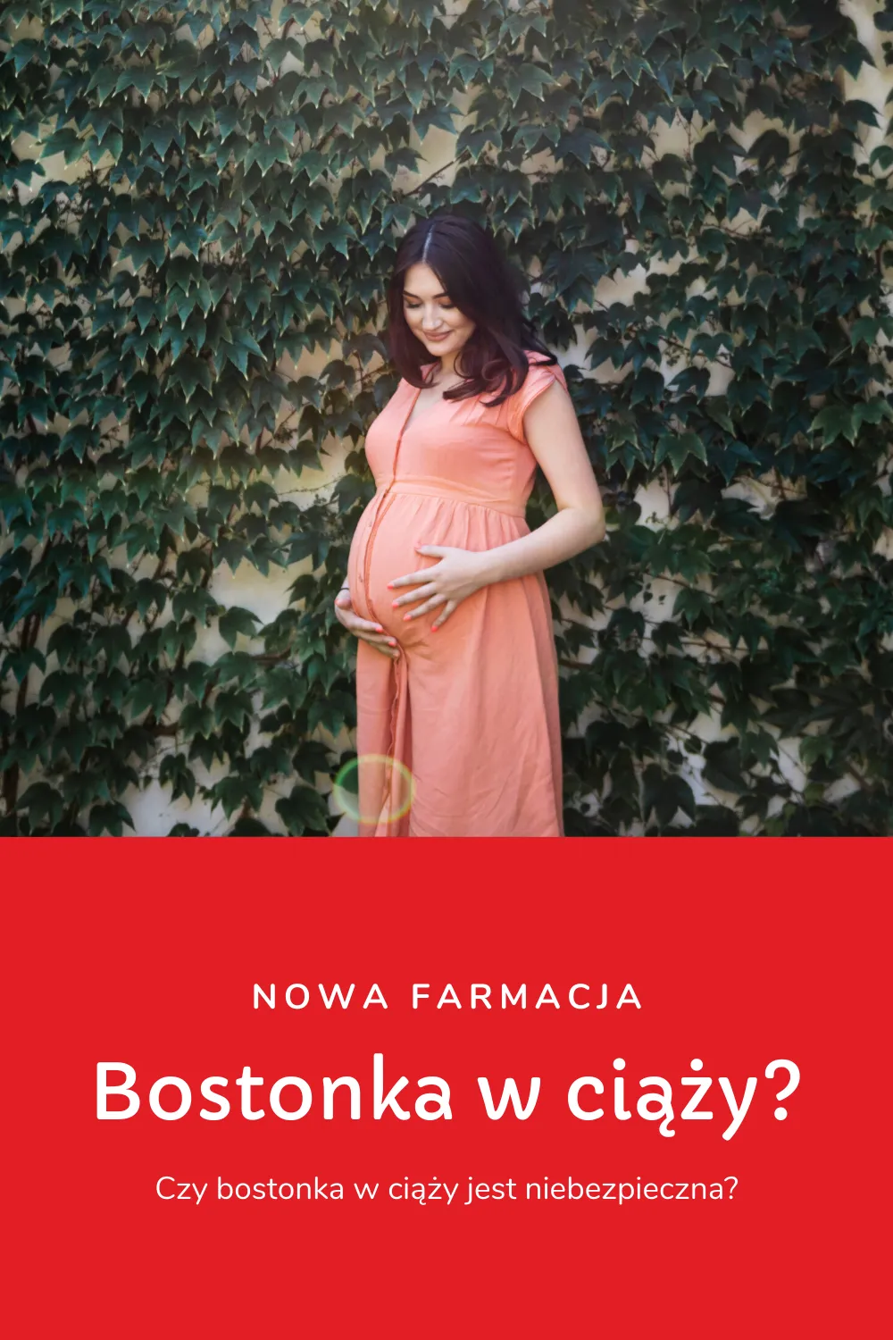 Zdjęcie Czy bostonka jest groźna dla kobiet w ciąży? Ryzyko i zalecenia dla ciężarnych