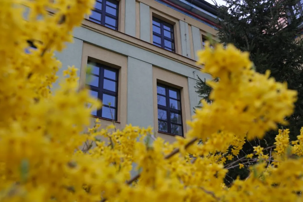 Zdjęcie Koszarowa uniwersytet: Kluczowe informacje o Wydziale Nauk Społecznych