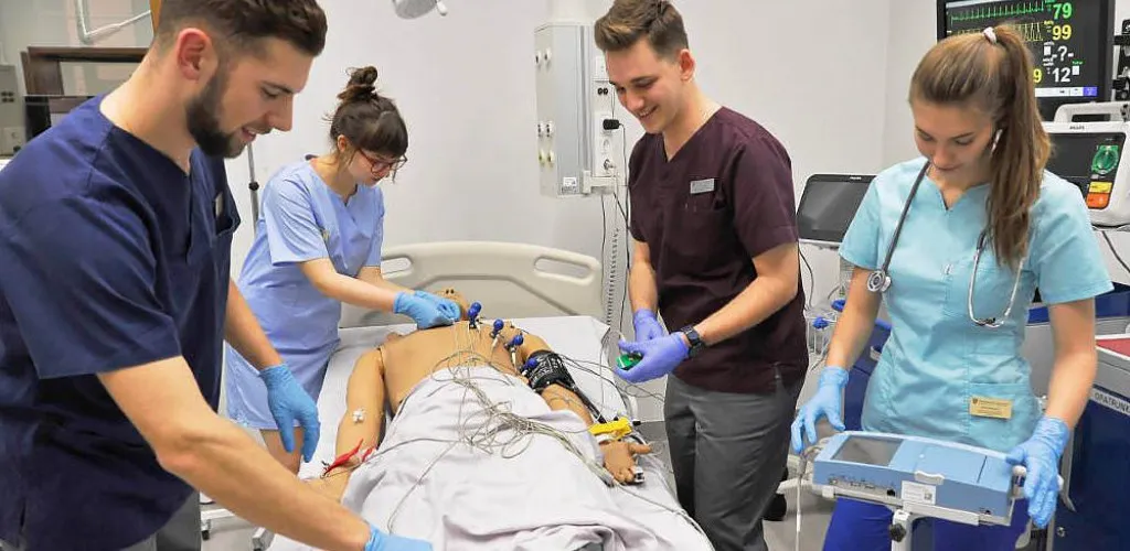 Zdjęcie Uniwersytet Piastów Śląskich: Kluczowe informacje o studiach medycznych