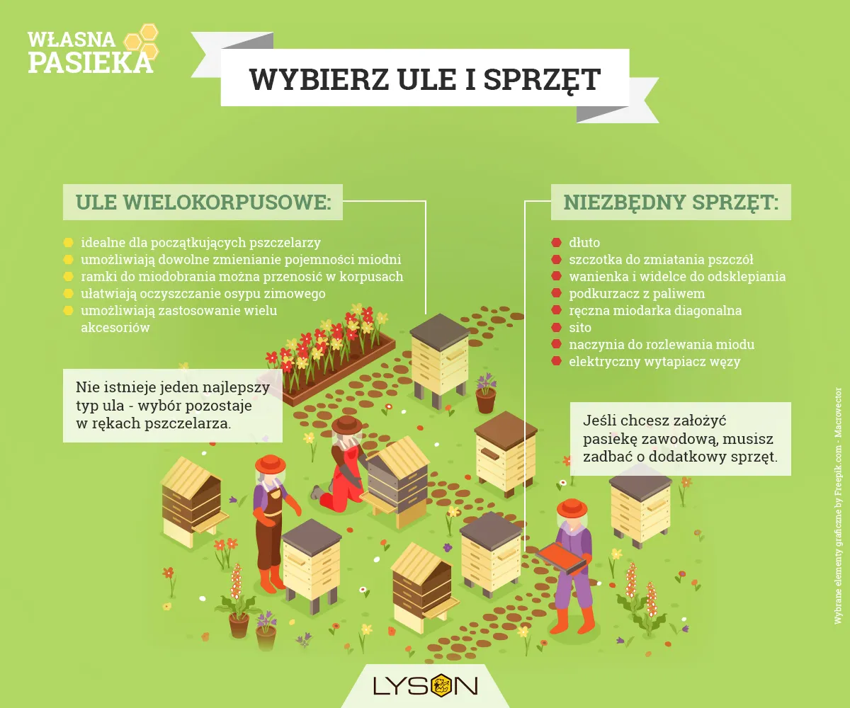 Zdjęcie Jaki ul dla początkującego: Wybierz idealny model na start
