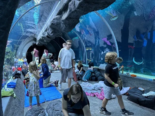 Zdjęcie Odkryj fascynujący świat oceanarium w zoo Łódź i jego atrakcje