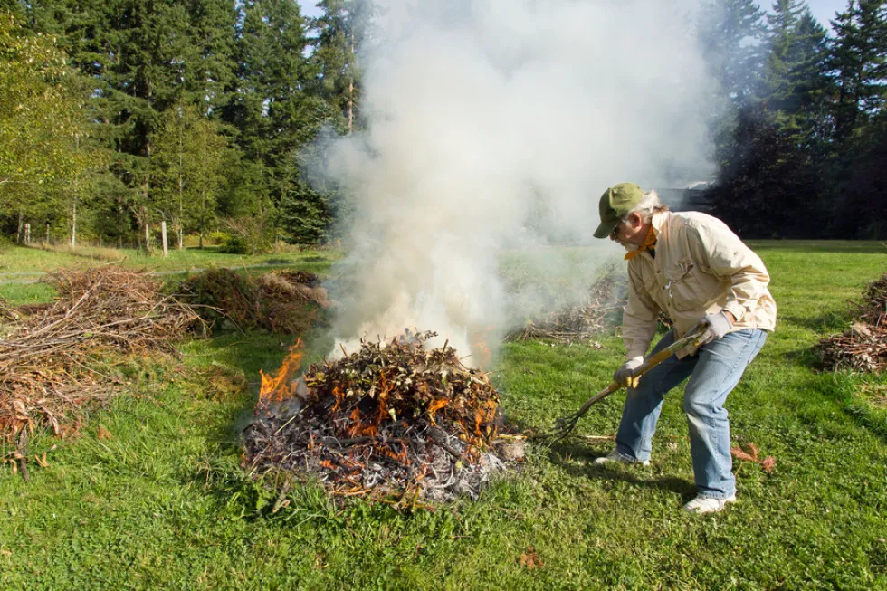 Zdjęcie Czy można palić ognisko? Przepisy i zasady, które musisz znać